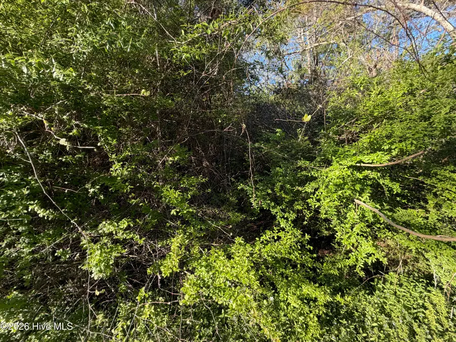 0 Mcgowan Road, Jacksonville, NC 28540 - #3