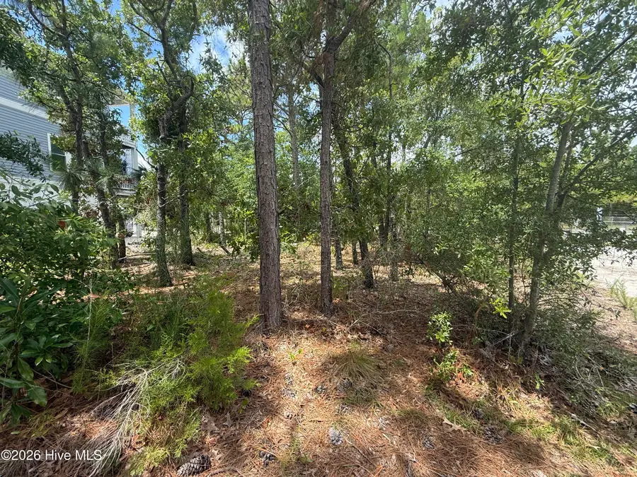 918 Old Dow Road, Carolina Beach, NC 28428 - #2