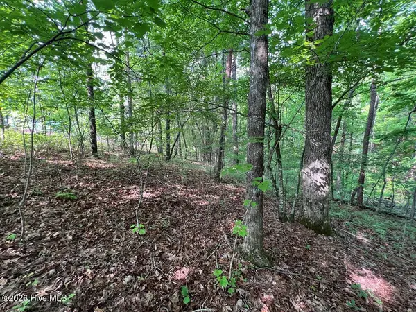 Lot 1 Leonard Lane, Murphy, NC 28906
