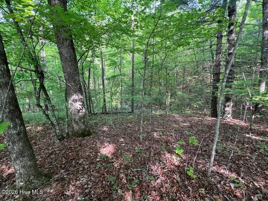 Lot 1 Leonard Lane, Murphy, NC 28906 - #2