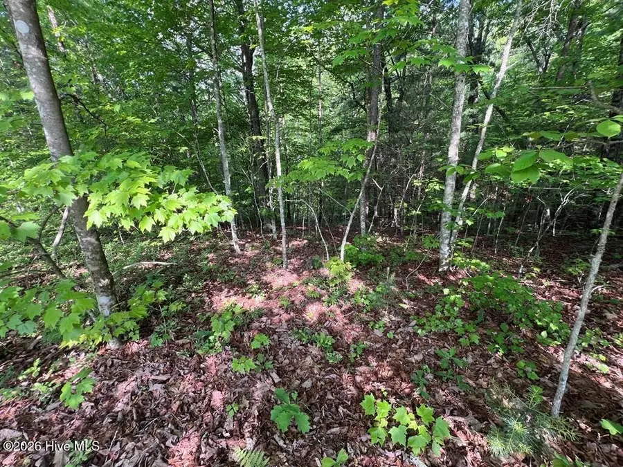Lot 1 Leonard Lane, Murphy, NC 28906 - #3