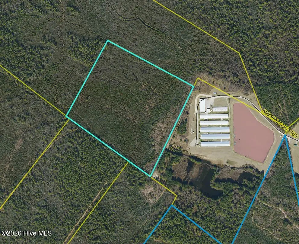 44 Acres Nance-coble Tract Road, Garland, NC 28441 - #1
