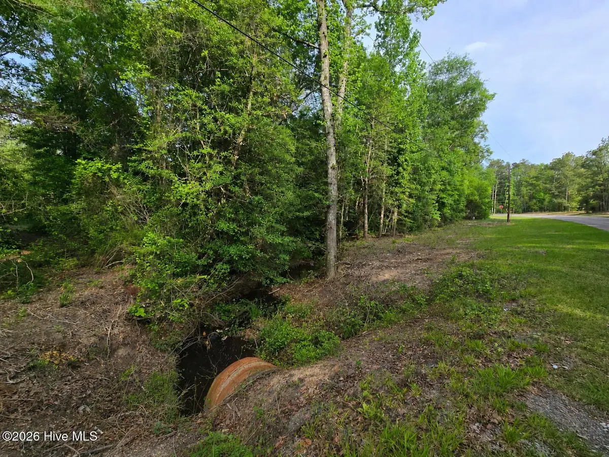 Lot 45-47 Cabins Creek Road, Vass, NC 28394 - #1