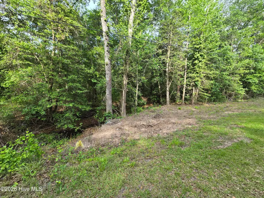 Lot 45-47 Cabins Creek Road, Vass, NC 28394 - #3