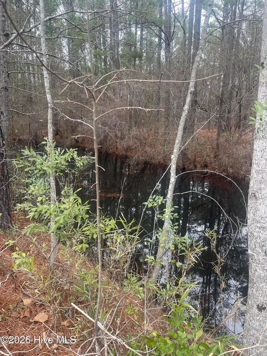 Lot 6 & 7 Bumpy Lane, Sanford, NC 27332 - #2