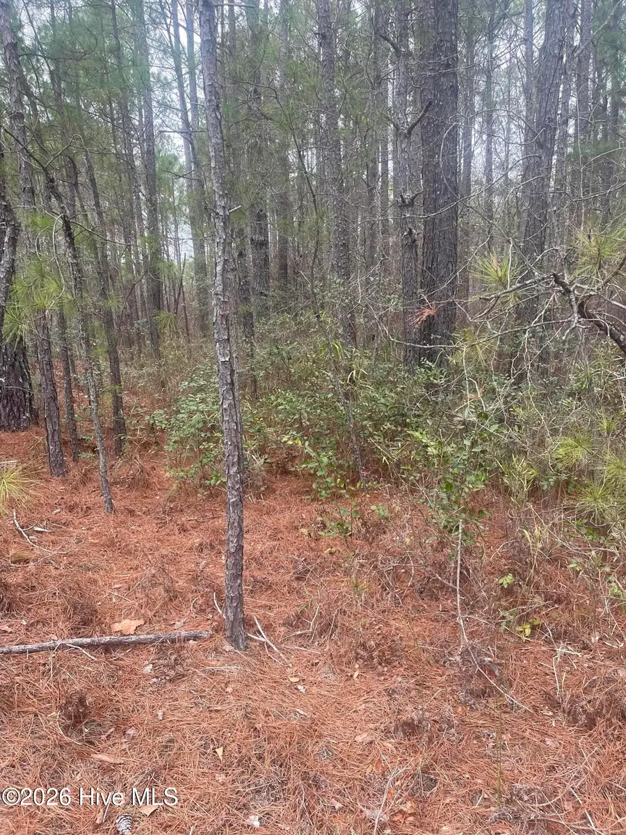 Lot 6 & 7 Bumpy Lane, Sanford, NC 27332 - #3