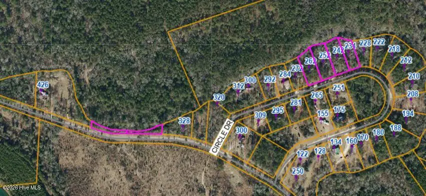 234 Circle Drive, Vass, NC 28394 - #1