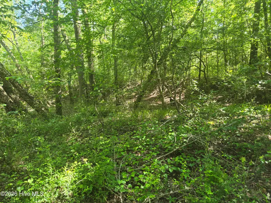 234 Circle Drive, Vass, NC 28394 - #2