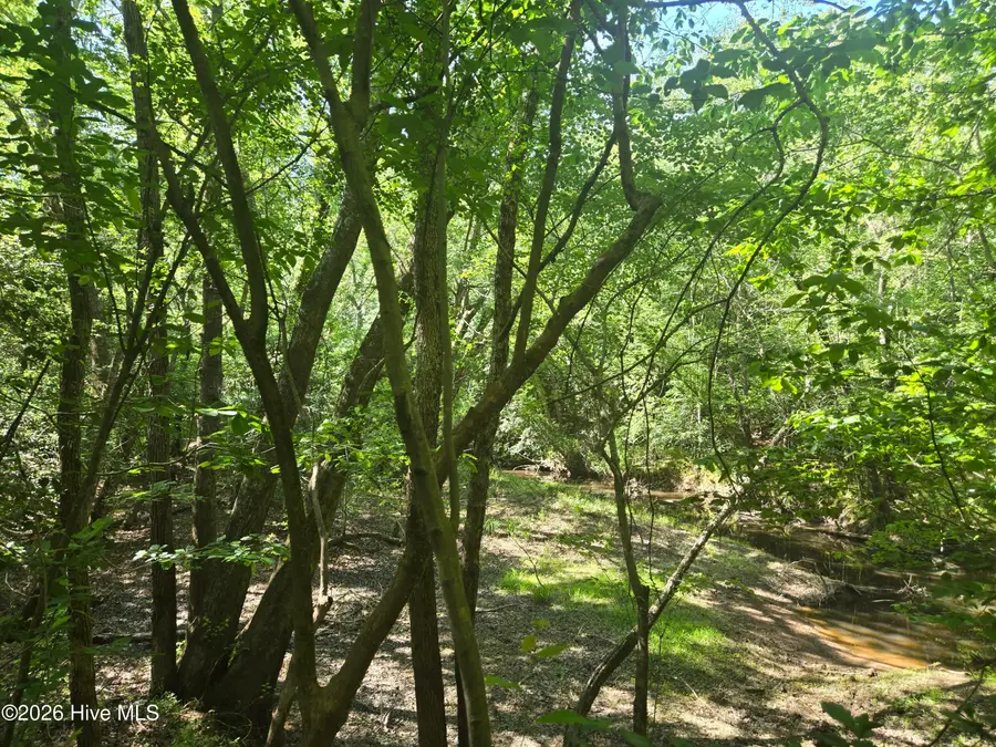 234 Circle Drive, Vass, NC 28394 - #3