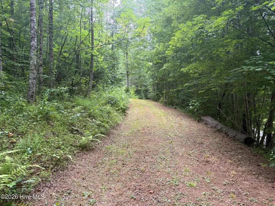 0 Down Springs Drive, Murphy, NC 28906 - #3