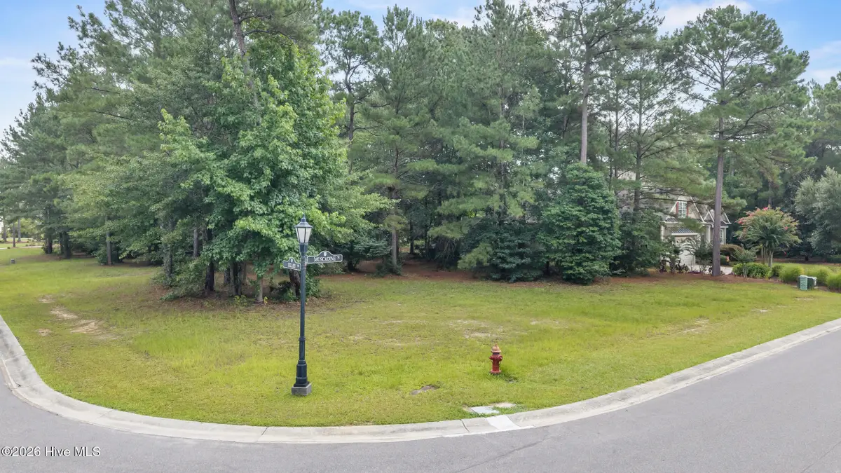 154 Muscadine Trail, Wallace, NC 28466 - #1