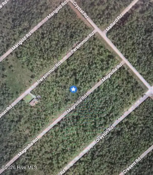 322 & 323 Magnolia Road, Boiling Spring Lakes, NC 28461 - #1