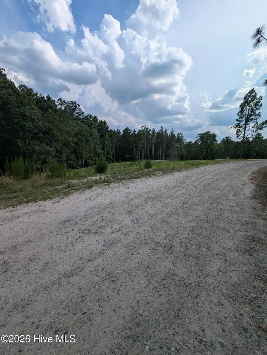 274 Charles Road, Eagle Springs, NC 27242 - #2