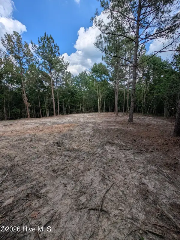 Tbd Peyton Drive, Eagle Springs, NC 27242