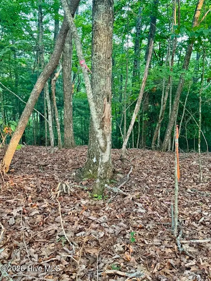 Tbd Lot 43 Pine Cove Lane, Murphy, NC 28906 - #3