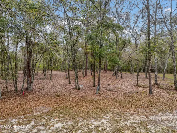 584 Asphodel Drive Sw, Supply, NC 28462