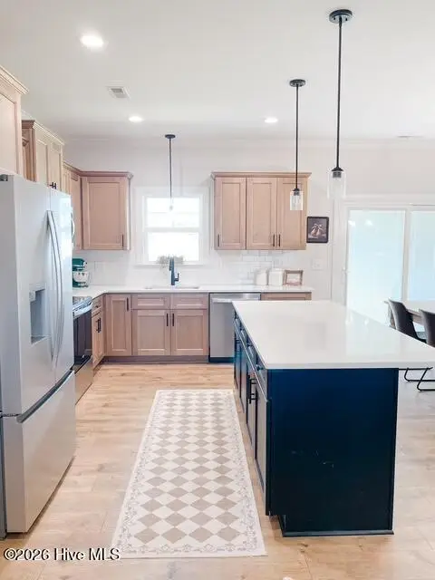 215 Rae Drive, Pikeville, NC 27863 - #3