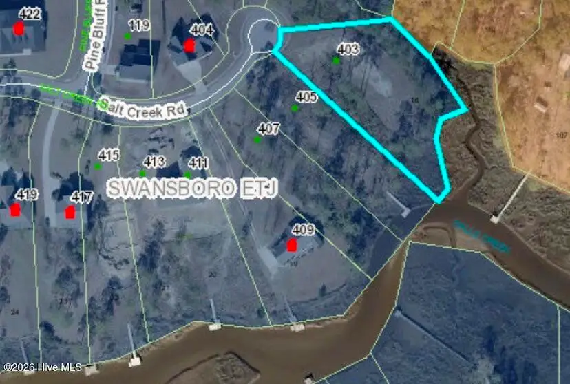 403 Salt Creek Road, Swansboro, NC 28584 - #2