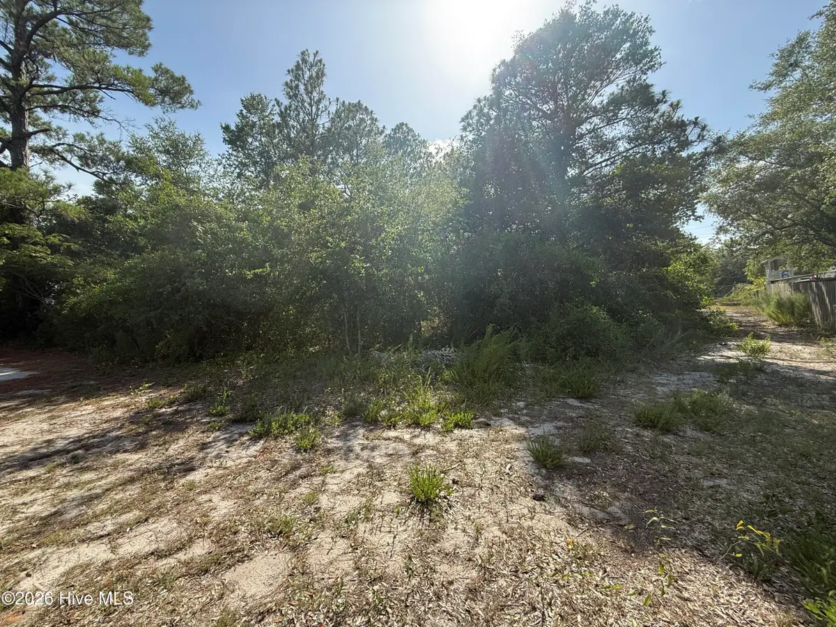 915 Blanche Avenue, Carolina Beach, NC 28428 - #1