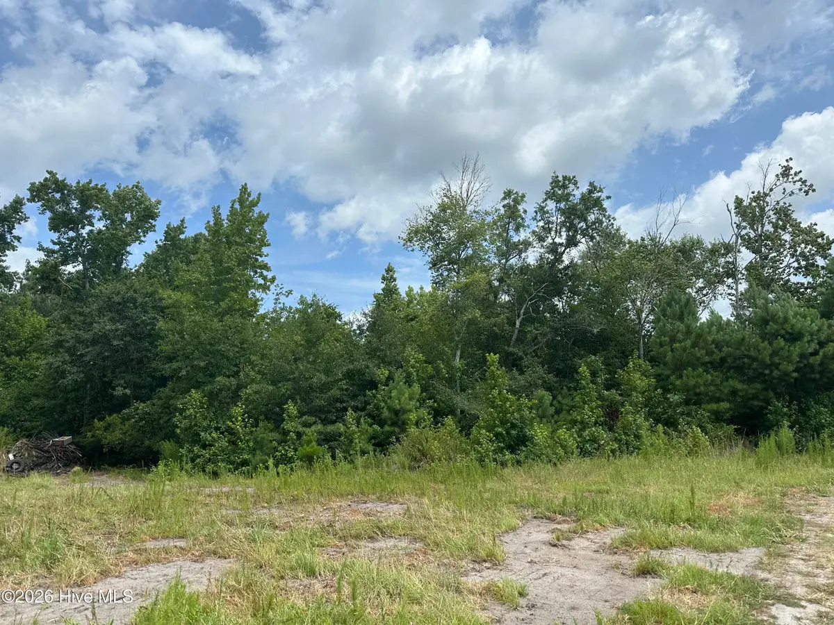 Near 99 Andrews Lake Drive, Tabor City, NC 28463 - #1