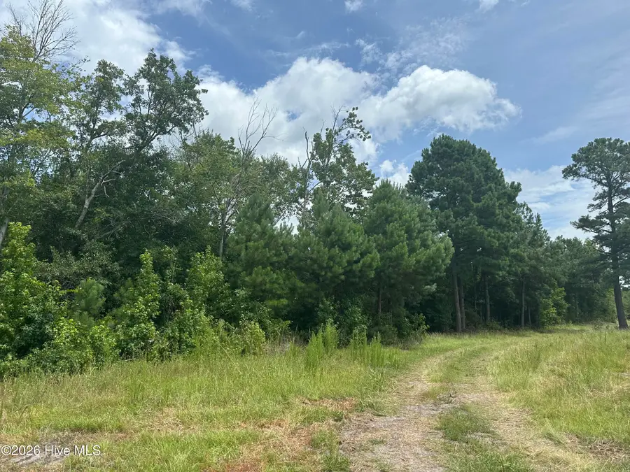 Near 99 Andrews Lake Drive, Tabor City, NC 28463 - #3