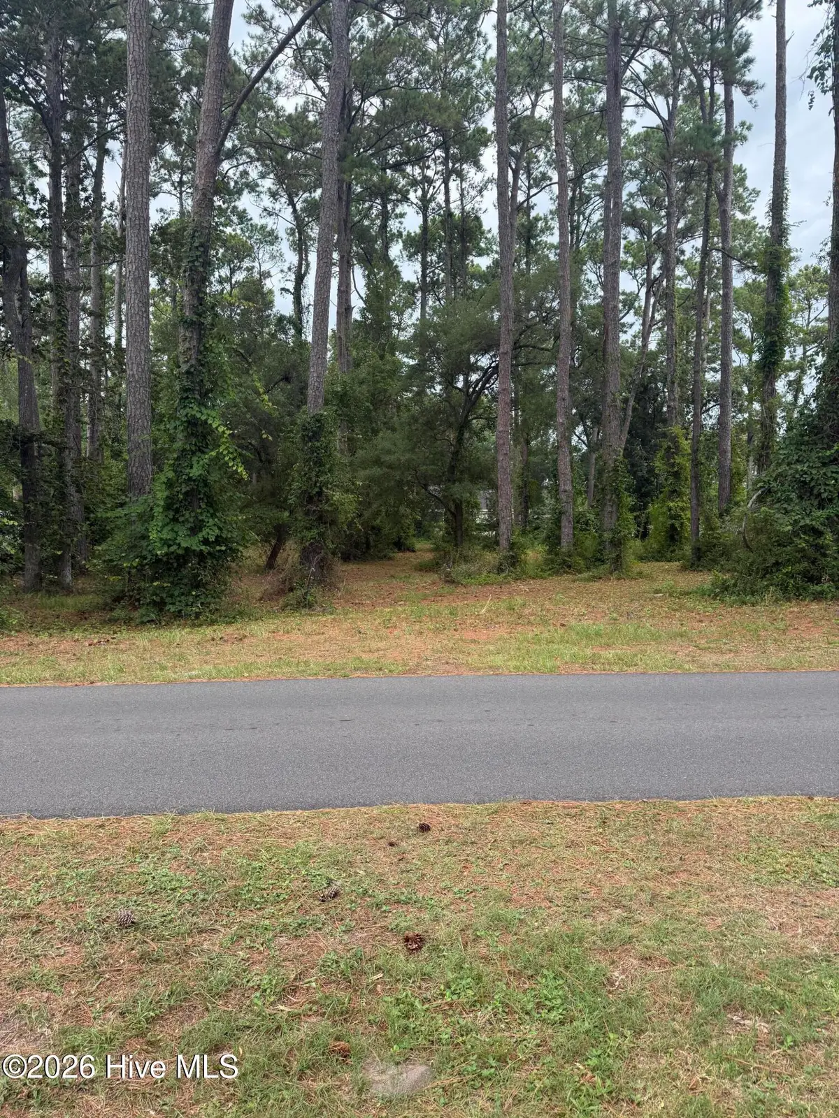 9010 Ocean Harbour Golf Club Drive Sw, Calabash, NC 28467 - #1