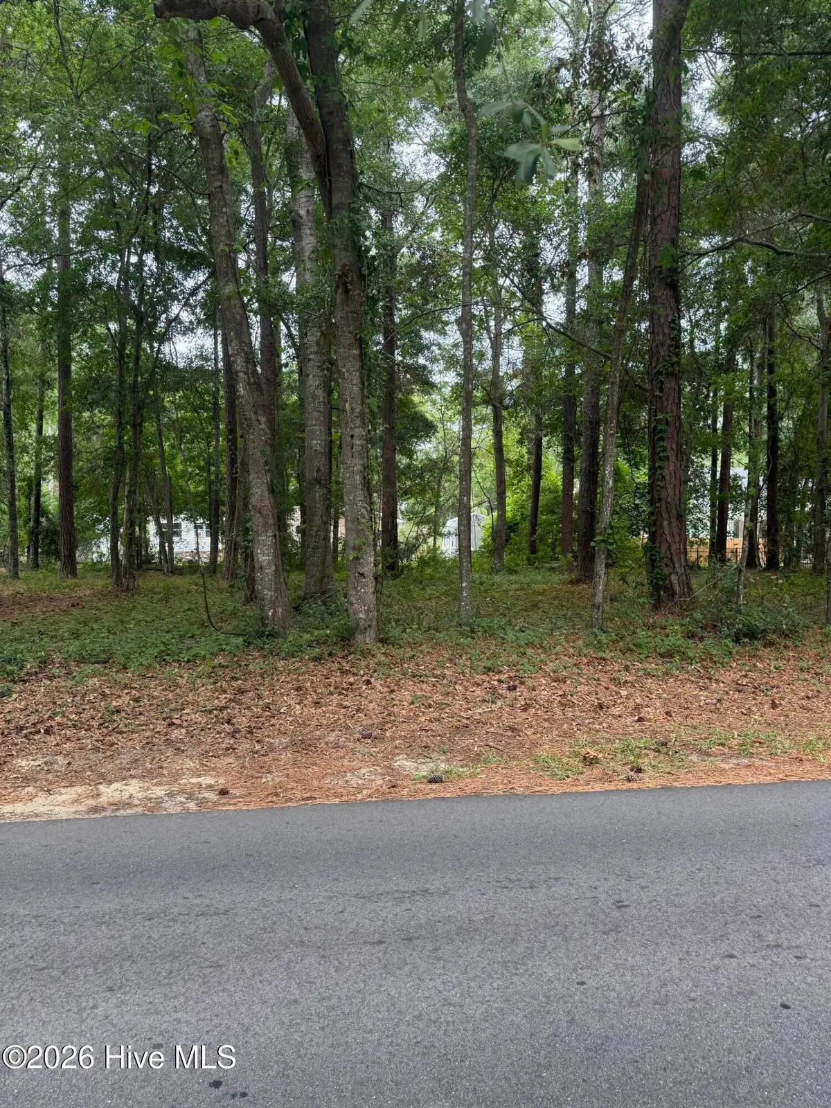 9042 Ocean Harbour Golf Club Road Sw, Calabash, NC 28467 - #1