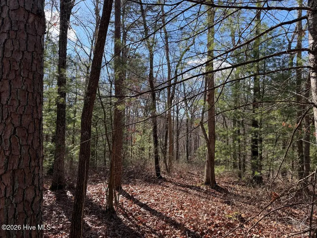 Lot 20 Yellow Maple Lane, Murphy, NC 28906 - #1