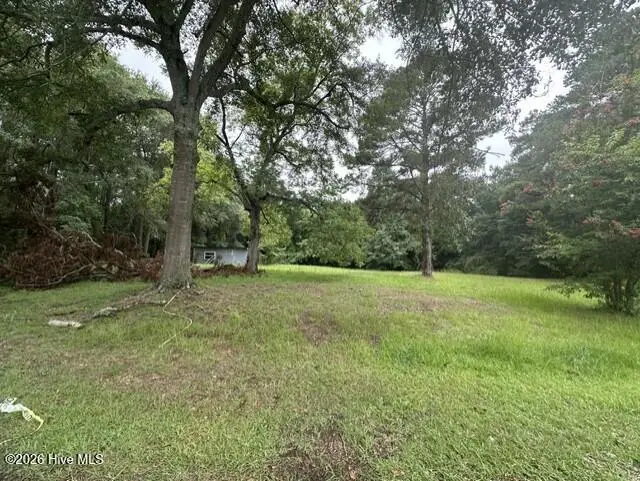 312 S Carlton Street, Magnolia, NC 28453 - #1