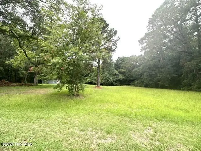 312 S Carlton Street, Magnolia, NC 28453 - #2