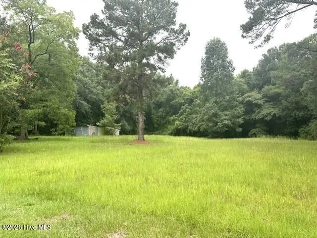 312 S Carlton Street, Magnolia, NC 28453 - #3