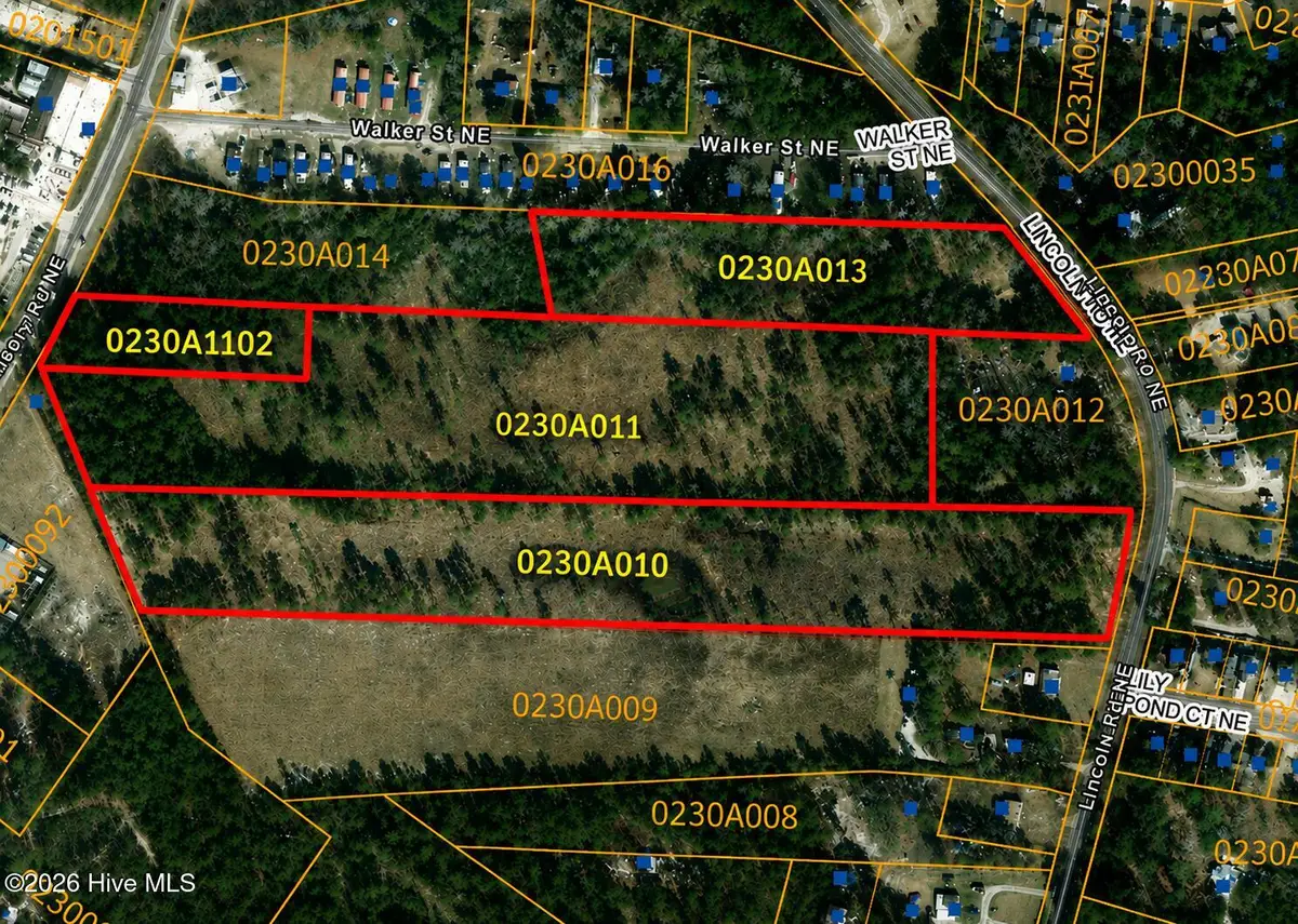 1970 Mt Misery Road Ne, Leland, NC 28451 - #1