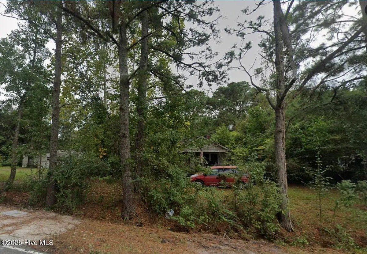 245 Golden Road, Wilmington, NC 28409 - #1