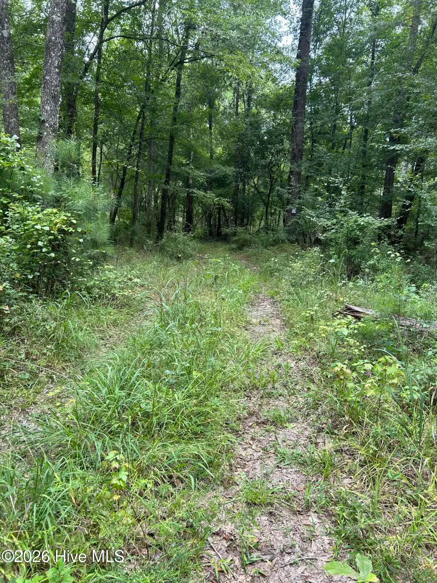 0 S Hwy 221, Adrian, GA 31002 - #2