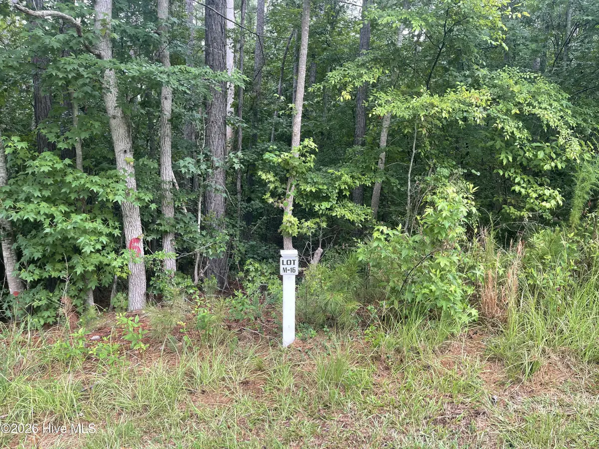 Lot M-16 Cavalry Run, North Augusta, SC 29860 - #1