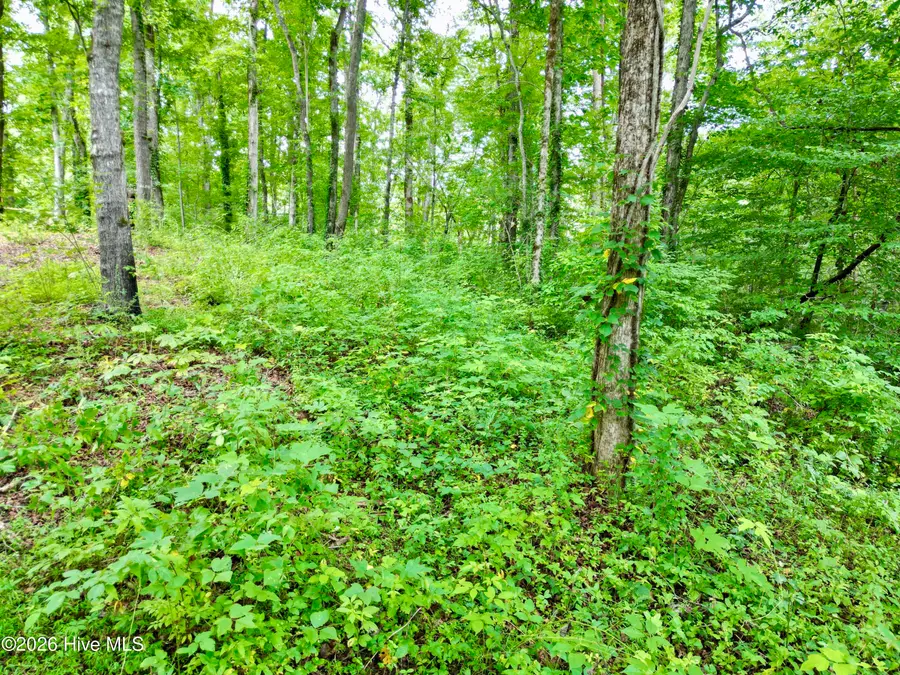 7 Heaton Road, Marble, NC 28905 - #3