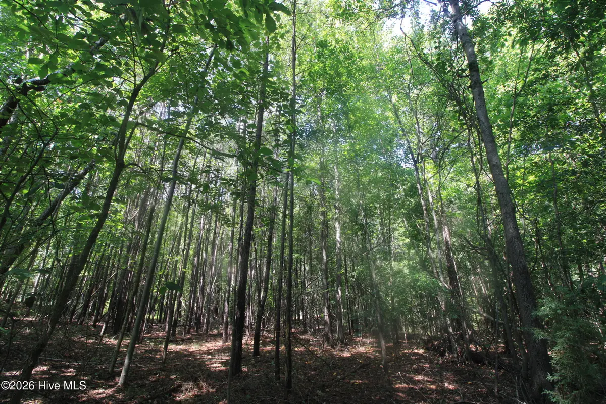 0 Crowatan Trail, Carthage, NC 28327 - #1
