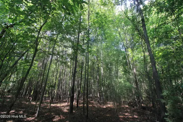 0 Crowatan Trail, Carthage, NC 28327