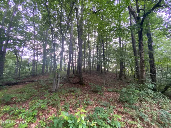 0 Red Bird Drive, Hayesville, NC 28904