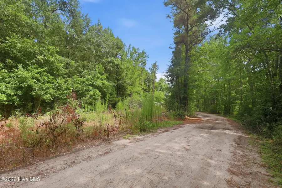 0 Copperhead Lane, Burgaw, NC 28425 - #3