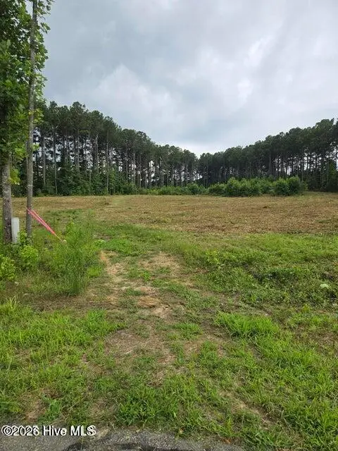 Lot 51 Roseheath Court, Bailey, NC 27807 - #1