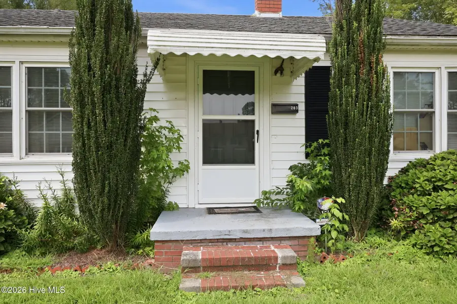 203 Fairview Street, Williamston, NC 27892 - #3