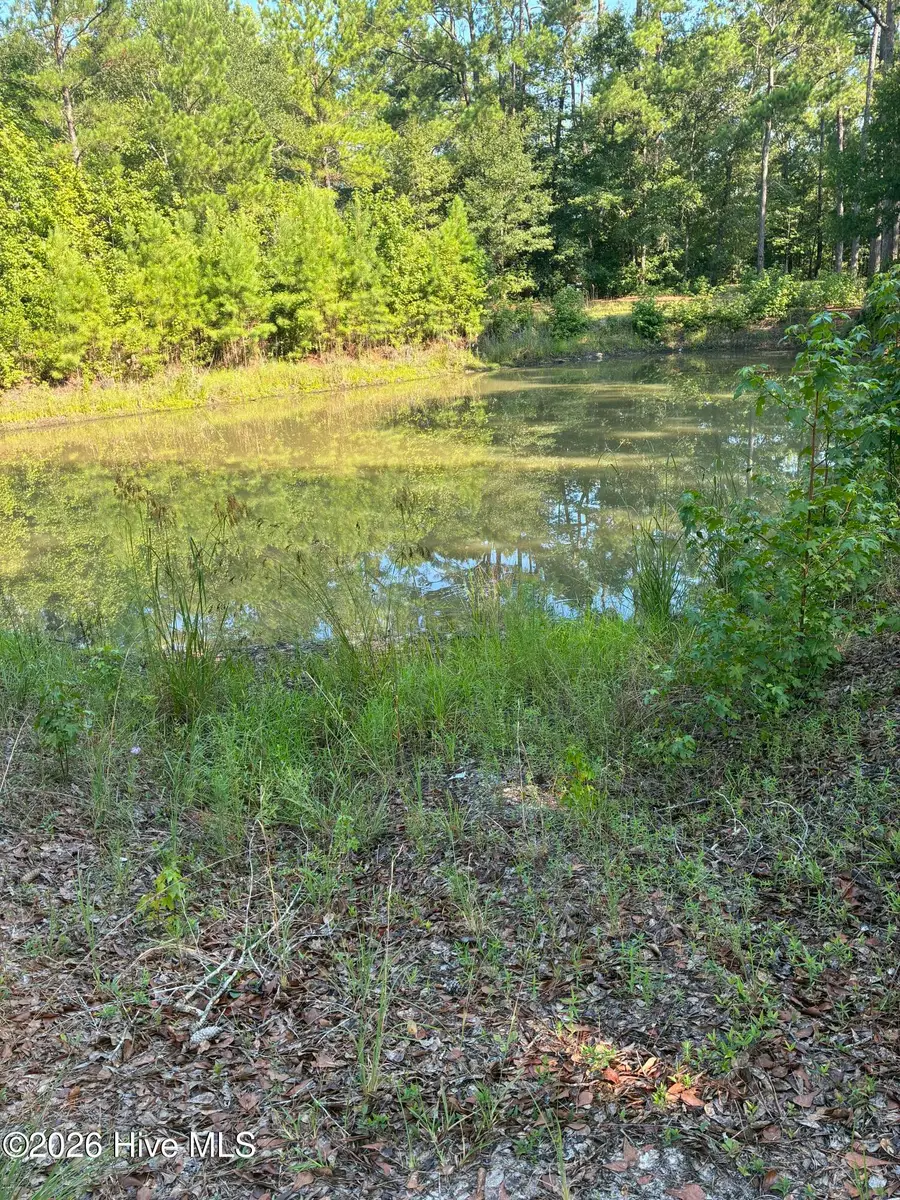 Address Withheld By Seller, Leland, NC 28451 - #2