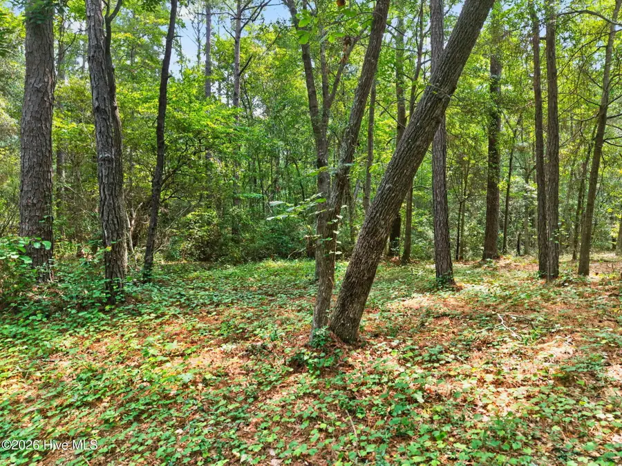 3014 Valderama Way Se, Bolivia, NC 28422 - #2