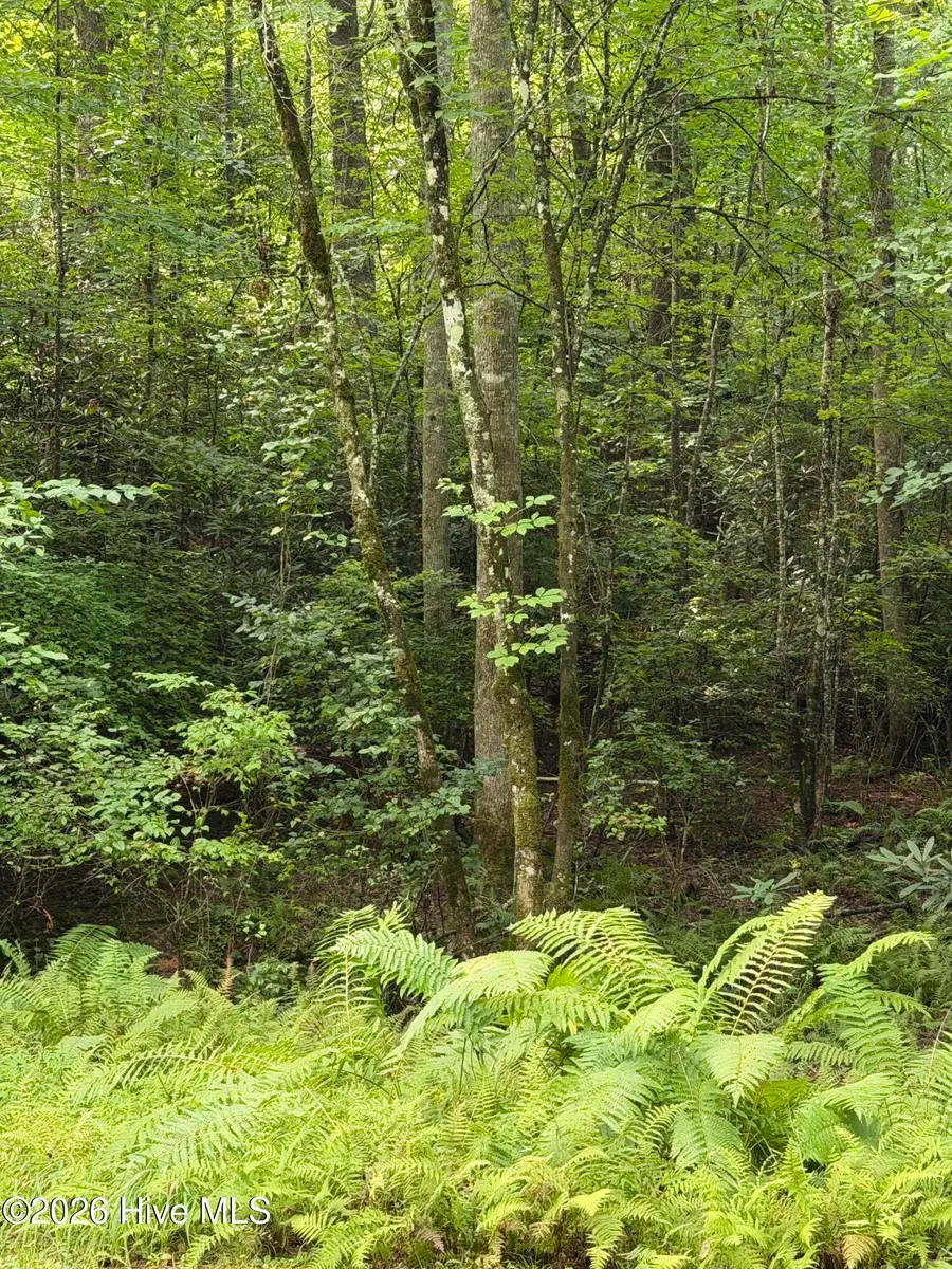 Address Withheld By Seller, Murphy, NC 28906 - #2