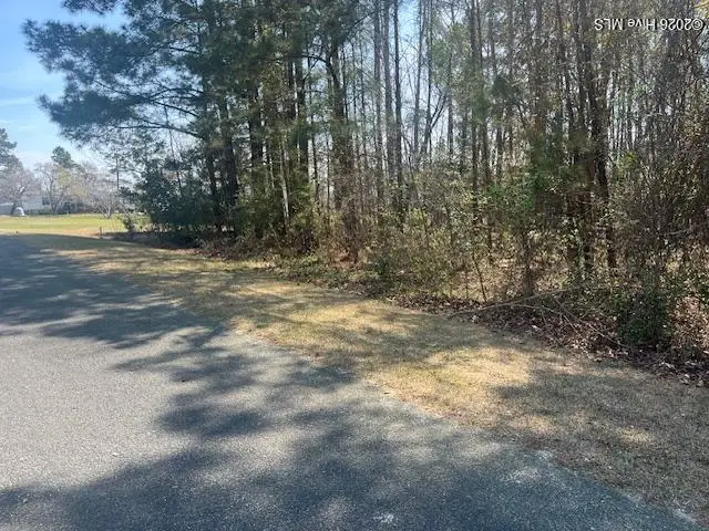 1894 Sunset Cove Drive Se, Bolivia, NC 28422 - #1