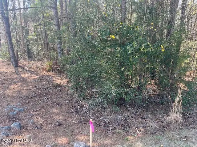 1894 Sunset Cove Drive Se, Bolivia, NC 28422 - #3