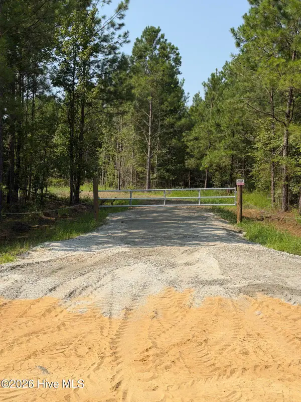 0 Netherland Road, Midville, GA 30441