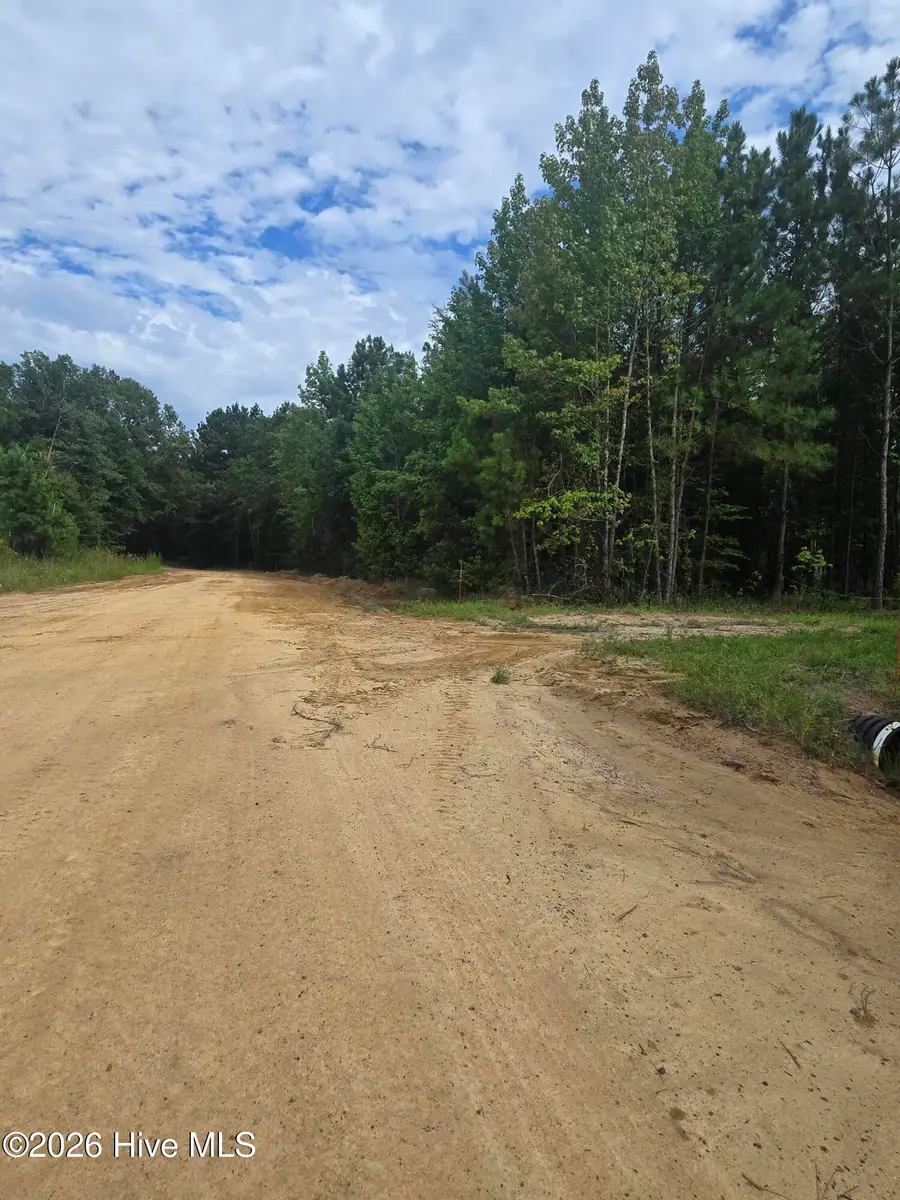0 Netherland Road, Midville, GA 30441 - #2