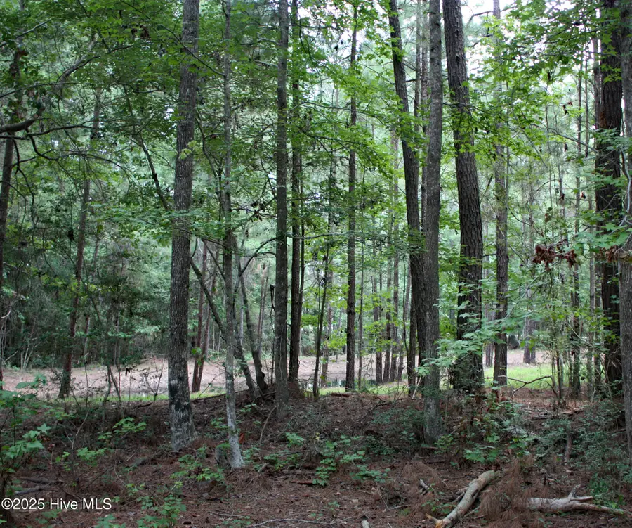 6781 Hanbury Place Sw, Ocean Isle Beach, NC 28469 - #2